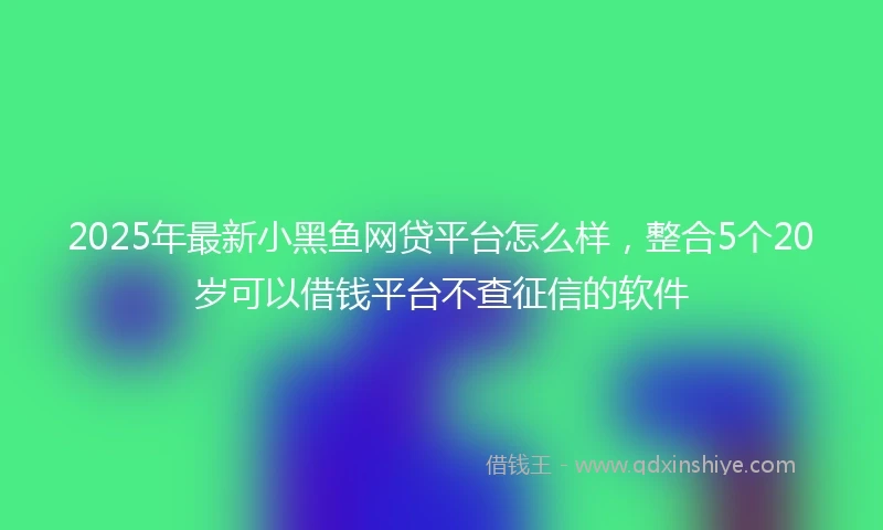 2025年最新小黑鱼网贷平台怎么样，整合5个20岁可以借钱平台不查征信的软件