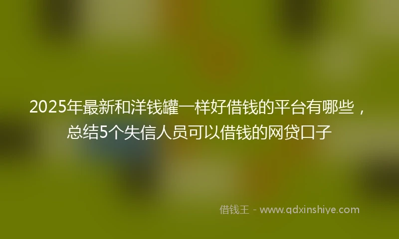 2025年最新和洋钱罐一样好借钱的平台有哪些，总结5个失信人员可以借钱的网贷口子
