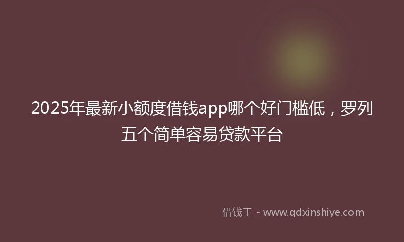 2025年最新小额度借钱app哪个好门槛低，罗列五个简单容易贷款平台