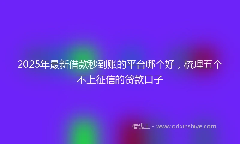 2025年最新借款秒到账的平台哪个好，梳理五个不上征信的贷款口子
