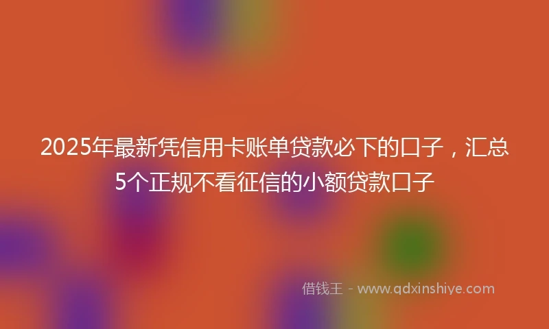 2025年最新凭信用卡账单贷款必下的口子，汇总5个正规不看征信的小额贷款口子