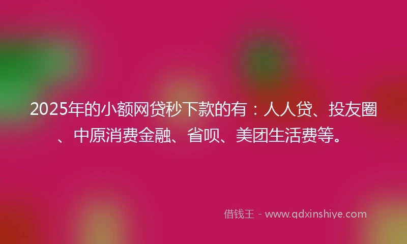2025年的小额网贷秒下款的有：人人贷、投友圈、中原消费金融、省呗、美团生活费等。