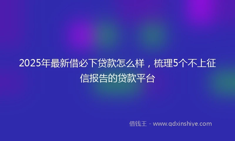 2025年最新借必下贷款怎么样，梳理5个不上征信报告的贷款平台