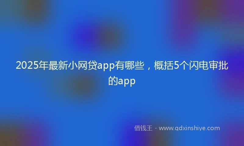 2025年最新小网贷app有哪些，概括5个闪电审批的app