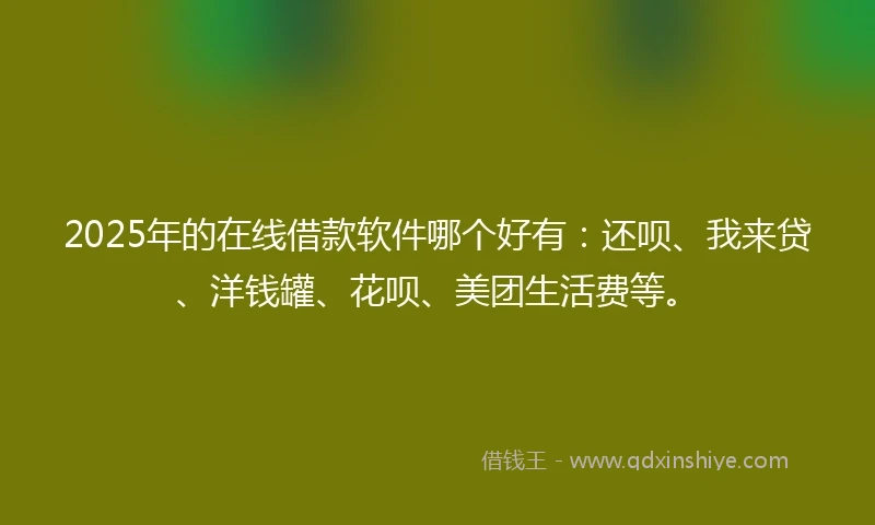 2025年的在线借款软件哪个好有：还呗、我来贷、洋钱罐、花呗、美团生活费等。