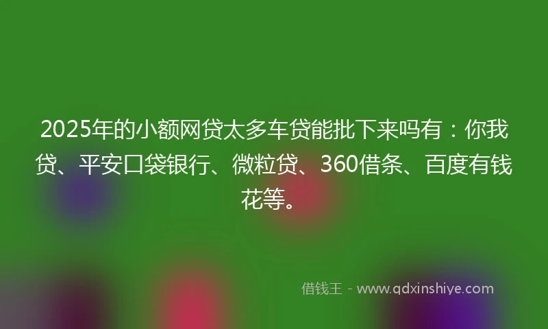 2025年的小额网贷太多车贷能批下来吗有：你我贷、平安口袋银行、微粒贷、360借条、百度有钱花等。