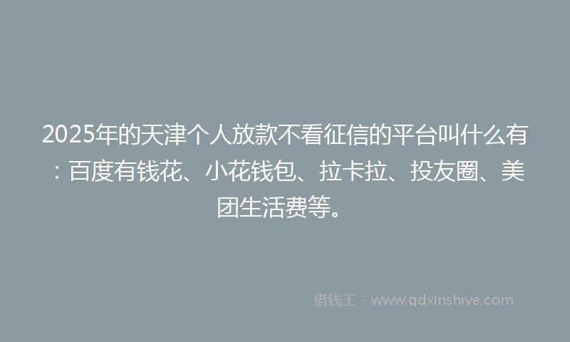 2025年的天津个人放款不看征信的平台叫什么有：百度有钱花、小花钱包、拉卡拉、投友圈、美团生活费等。