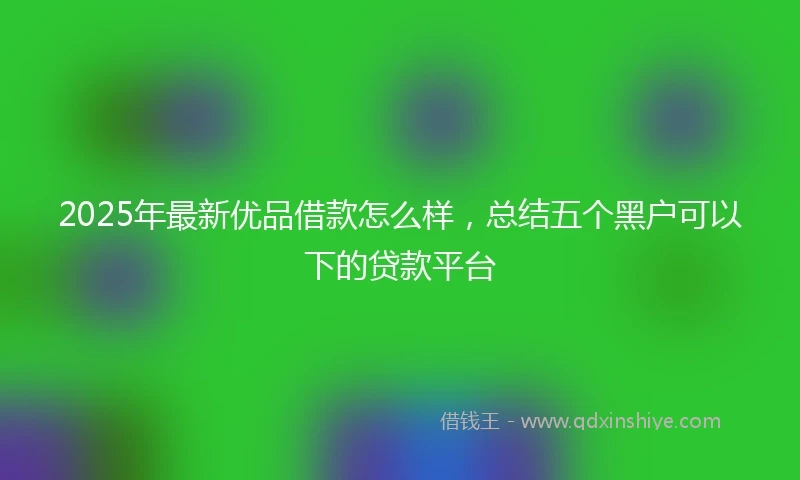 2025年最新优品借款怎么样，总结五个黑户可以下的贷款平台