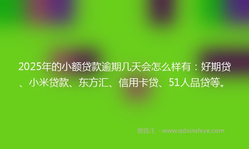 2025年的小额贷款逾期几天会怎么样有：好期贷、小米贷款、东方汇、信用卡贷、51人品贷等。