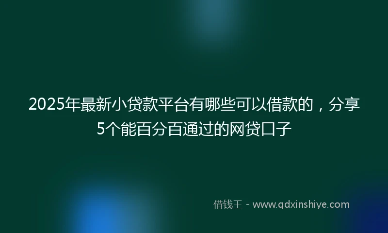 2025年最新小贷款平台有哪些可以借款的，分享5个能百分百通过的网贷口子