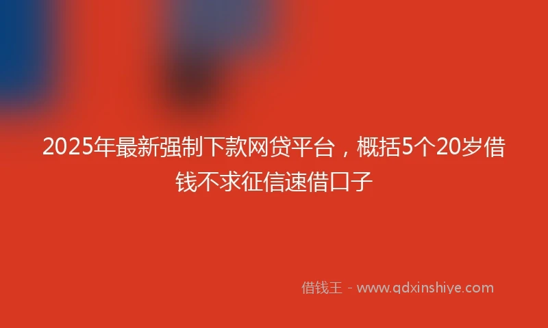 2025年最新强制下款网贷平台，概括5个20岁借钱不求征信速借口子