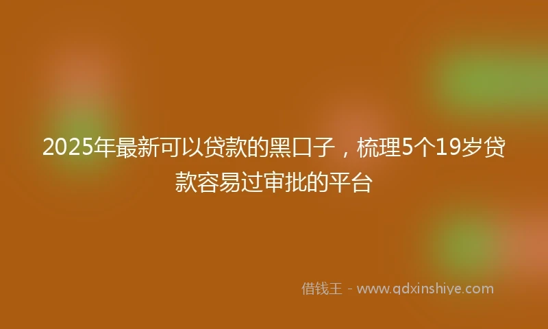 2025年最新可以贷款的黑口子，梳理5个19岁贷款容易过审批的平台