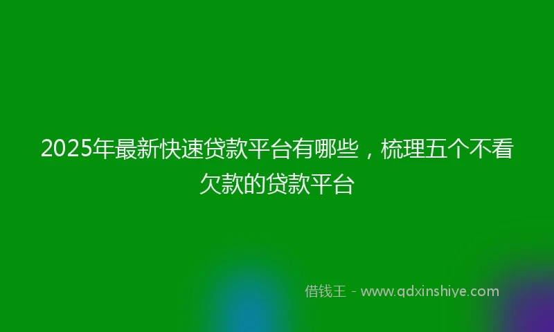 2025年最新快速贷款平台有哪些，梳理五个不看欠款的贷款平台
