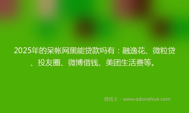 2025年的呆帐网黑能贷款吗有：融逸花、微粒贷、投友圈、微博借钱、美团生活费等。