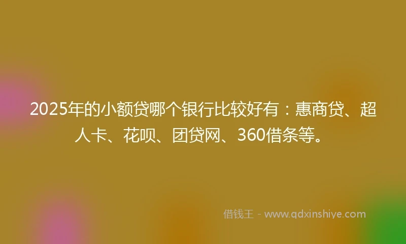 2025年的小额贷哪个银行比较好有：惠商贷、超人卡、花呗、团贷网、360借条等。