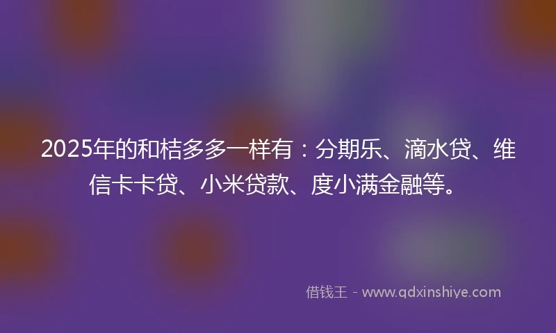 2025年的和桔多多一样有：分期乐、滴水贷、维信卡卡贷、小米贷款、度小满金融等。