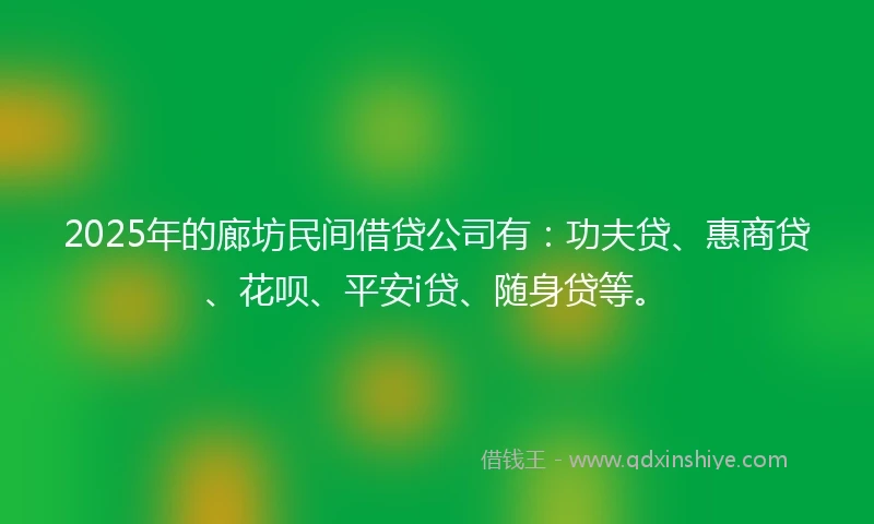 2025年的廊坊民间借贷公司有：功夫贷、惠商贷、花呗、平安i贷、随身贷等。