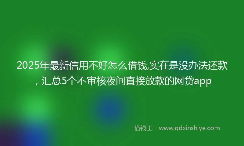 2025年最新信用不好怎么借钱,实在是没办法还款，汇总5个不审核夜间直接放款的网贷app