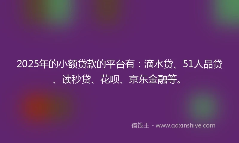 2025年的小额贷款的平台有：滴水贷、51人品贷、读秒贷、花呗、京东金融等。