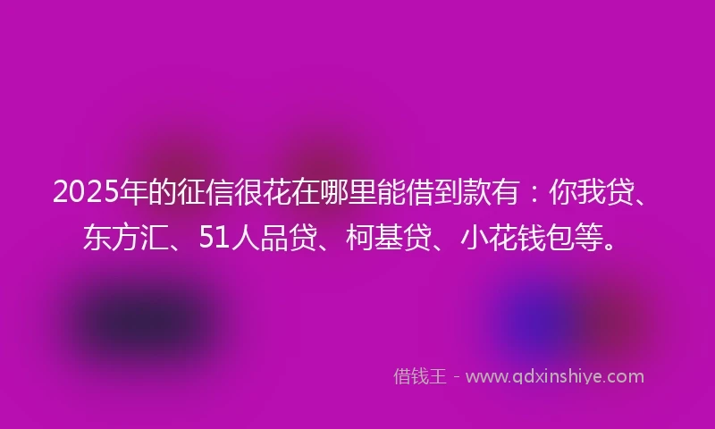 2025年的征信很花在哪里能借到款有：你我贷、东方汇、51人品贷、柯基贷、小花钱包等。