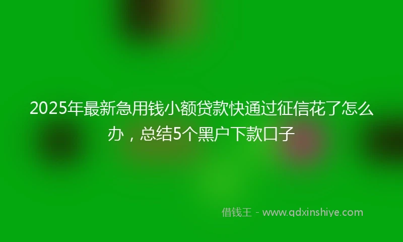 2025年最新急用钱小额贷款快通过征信花了怎么办，总结5个黑户下款口子