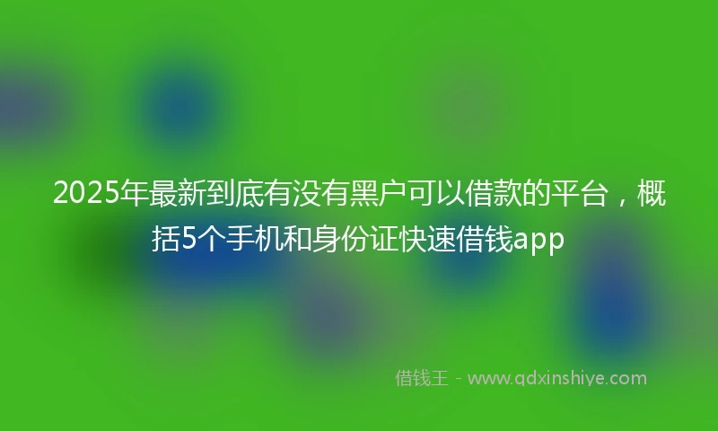 2025年最新到底有没有黑户可以借款的平台，概括5个手机和身份证快速借钱app
