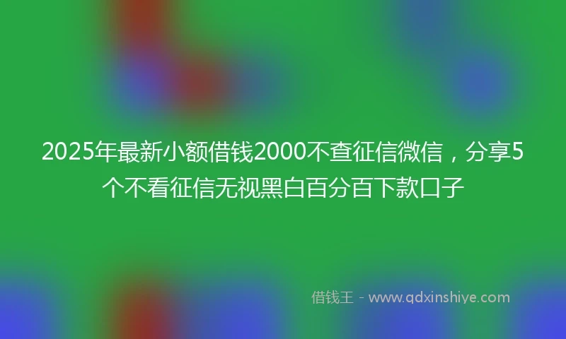 2025年最新小额借钱2000不查征信微信，分享5个不看征信无视黑白百分百下款口子