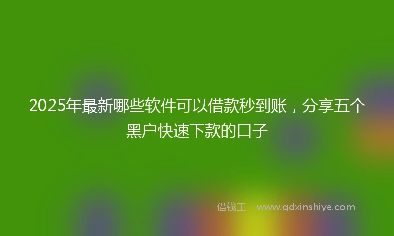 2025年最新哪些软件可以借款秒到账，分享五个黑户快速下款的口子