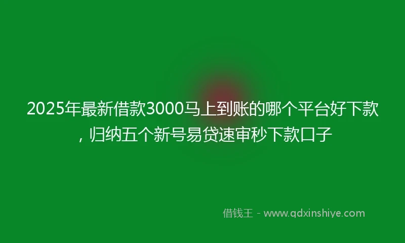 2025年最新借款3000马上到账的哪个平台好下款，归纳五个新号易贷速审秒下款口子