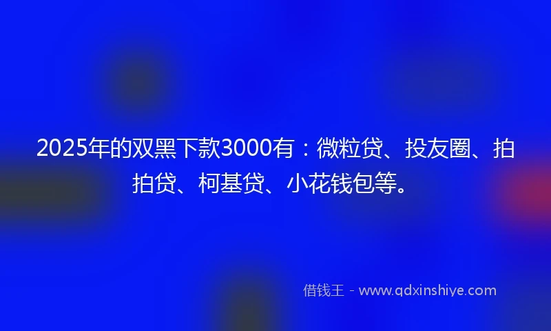 2025年的双黑下款3000有：微粒贷、投友圈、拍拍贷、柯基贷、小花钱包等。
