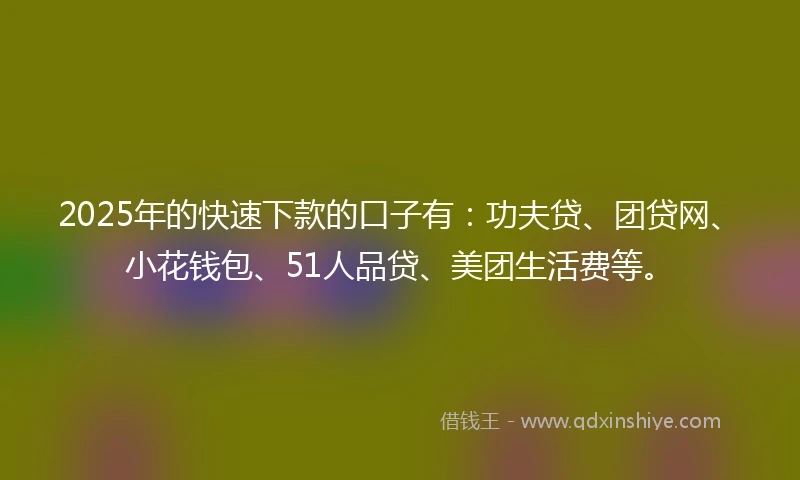 2025年的快速下款的口子有：功夫贷、团贷网、小花钱包、51人品贷、美团生活费等。
