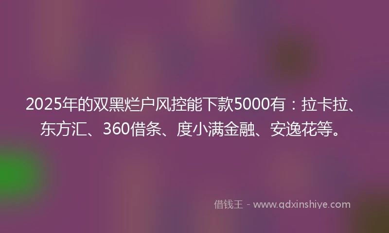 2025年的双黑烂户风控能下款5000有：拉卡拉、东方汇、360借条、度小满金融、安逸花等。