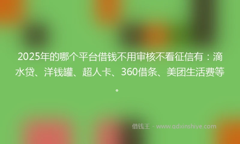 2025年的哪个平台借钱不用审核不看征信有：滴水贷、洋钱罐、超人卡、360借条、美团生活费等。