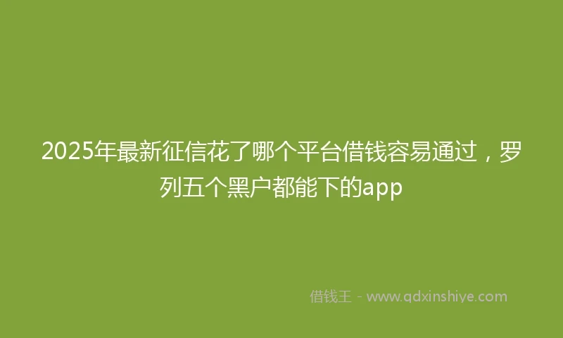 2025年最新征信花了哪个平台借钱容易通过，罗列五个黑户都能下的app