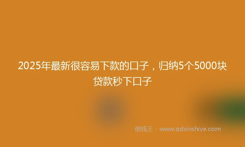 2025年最新很容易下款的口子，归纳5个5000块贷款秒下口子