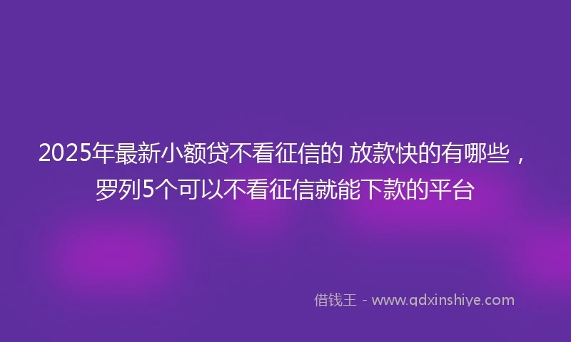 2025年最新小额贷不看征信的 放款快的有哪些，罗列5个可以不看征信就能下款的平台