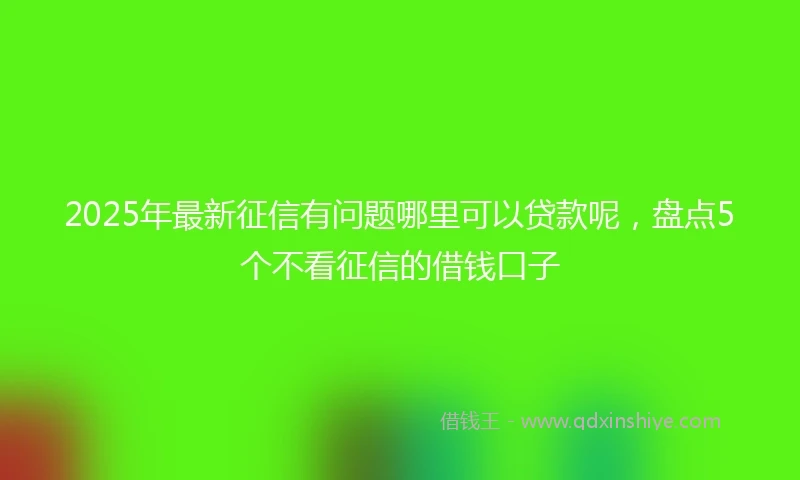 2025年最新征信有问题哪里可以贷款呢，盘点5个不看征信的借钱口子