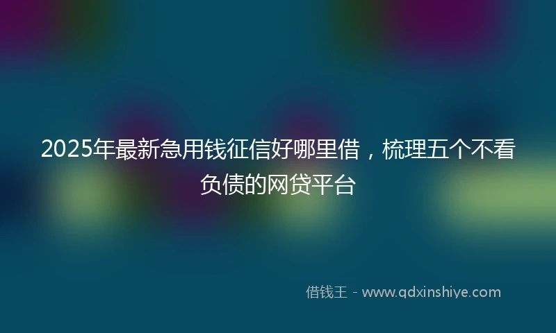 2025年最新急用钱征信好哪里借，梳理五个不看负债的网贷平台