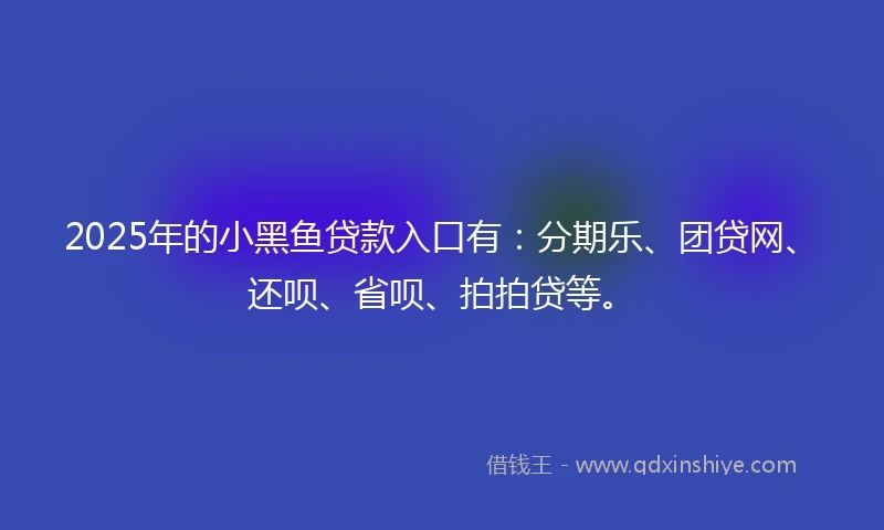 2025年的小黑鱼贷款入口有：分期乐、团贷网、还呗、省呗、拍拍贷等。