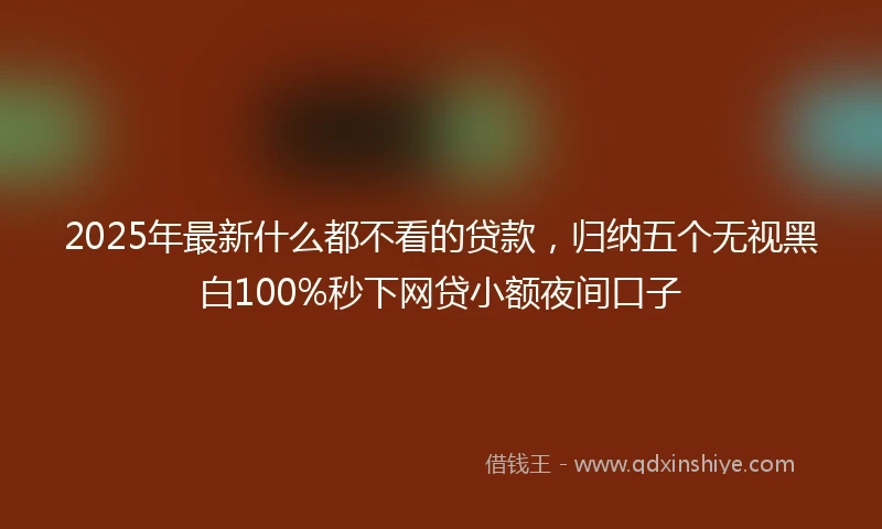 2025年最新什么都不看的贷款，归纳五个无视黑白100%秒下网贷小额夜间口子