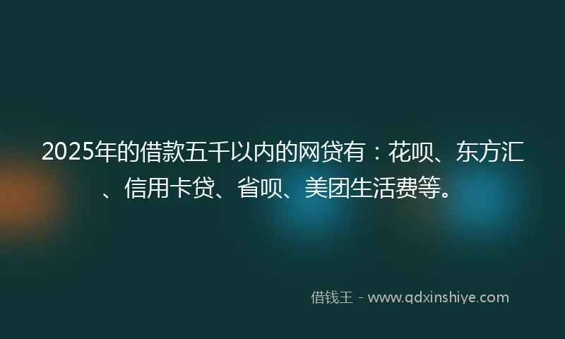 2025年的借款五千以内的网贷有：花呗、东方汇、信用卡贷、省呗、美团生活费等。