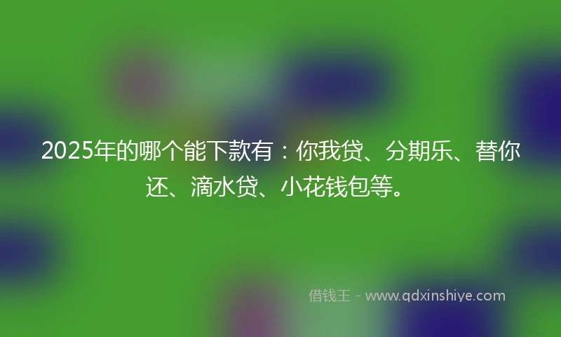 2025年的哪个能下款有：你我贷、分期乐、替你还、滴水贷、小花钱包等。