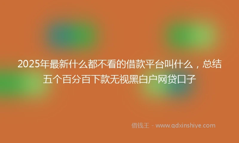 2025年最新什么都不看的借款平台叫什么，总结五个百分百下款无视黑白户网贷口子