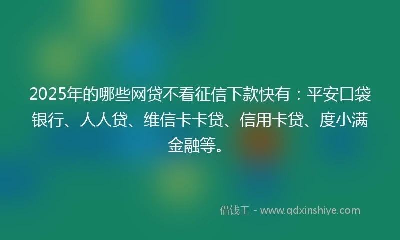 2025年的哪些网贷不看征信下款快有：平安口袋银行、人人贷、维信卡卡贷、信用卡贷、度小满金融等。