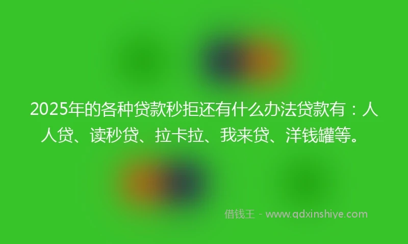 2025年的各种贷款秒拒还有什么办法贷款有：人人贷、读秒贷、拉卡拉、我来贷、洋钱罐等。