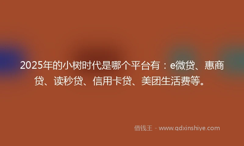 2025年的小树时代是哪个平台有：e微贷、惠商贷、读秒贷、信用卡贷、美团生活费等。