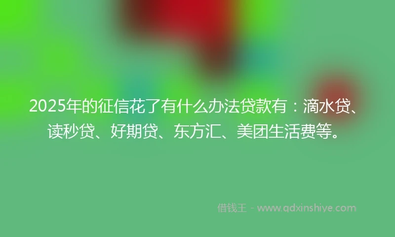 2025年的征信花了有什么办法贷款有：滴水贷、读秒贷、好期贷、东方汇、美团生活费等。