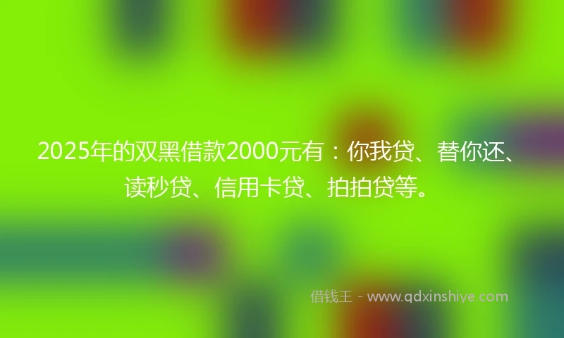 2025年的双黑借款2000元有：你我贷、替你还、读秒贷、信用卡贷、拍拍贷等。