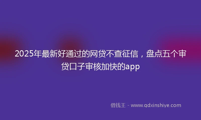 2025年最新好通过的网贷不查征信，盘点五个审贷口子审核加快的app