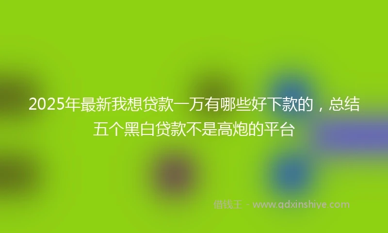 2025年最新我想贷款一万有哪些好下款的，总结五个黑白贷款不是高炮的平台